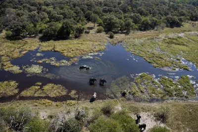 Botswana wild